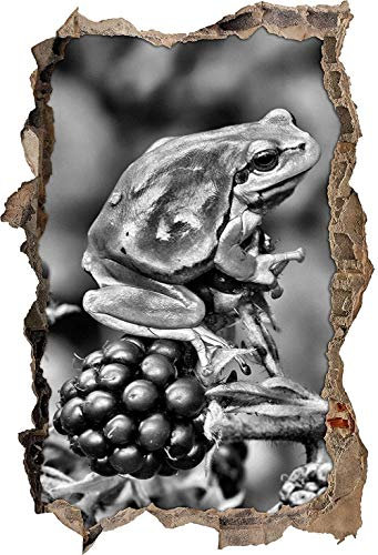 KAIASH Wall Sticker Monocrome Little Frog on Blackberry Bush Wall opening in 3D look Wall or door sticker Wall sticker Wall decal Wall decoration 92x62cm