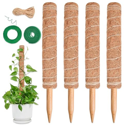 Luxorium 4 pezzi tutori per piante rampicanti Monstera sostegno per piante 40cm estensibile fibra di cocco per piante da interno