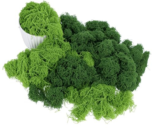 QWORK® Musgo Artificial 200g (100g Verde Claro + 100g Verde Oscuro) – Decoración de Musgo de Nailon Realista para Manualidades, Belenes, Jardín de Hadas, Maquetas y Arreglos Florales