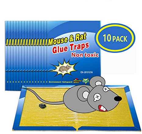 Piège à Souris Pièges à Rats, 10 Plaques Collantes Souris, Plaques de glu Anti Souris Anti Rat - Grande Taille 8x12