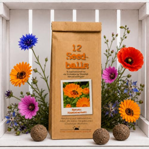 Seedball Bienenstaatsbankett 12er Pack – Samenbomben mit bienenfreundlichen Wildblumensamen | Blumensamen Made in Germany | Nachhaltig aus der Lebenshilfe-Werkstatt
