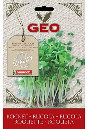 Geo Graine à Germer Roquette Brun 12,7 x 0,7 x 20 cm