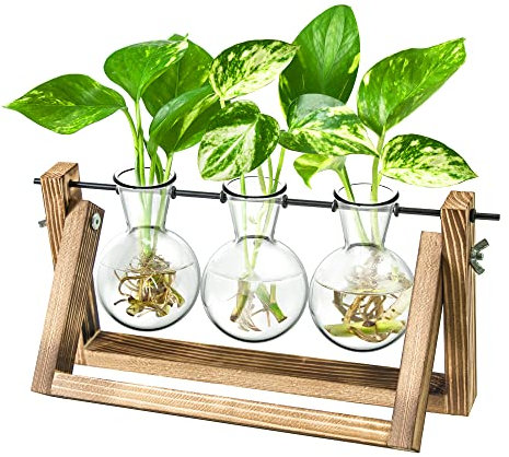 Gifts for Mum,Plant Propagation Station, Plant Terrarium,Gifts for Women Plant Lovers,Plant Cutting Holder Home décor,Plant Starter for hydroponic Plants,House Warming Gifts New Home for her