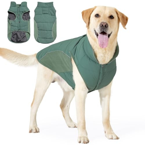BT Bear Hunde-Wintermantel, warme, wasserdichte Jacke für große Hunde, Welpen-Winterjacke, winddichte Hundeweste, Grün, Größe M