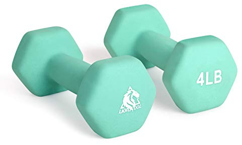 LIONSCOOL Neoprene Coated Dumbbell Weights (Aqua 4lb Pair)