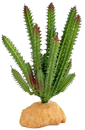 Woyrise Huernia Macrocarpa Plantes artificielles pour terrarium, plantes du désert pour décoration d'aquarium - Accessoires pour gecko à crête, lézard, lézard, caméléon, boule python, serpent,