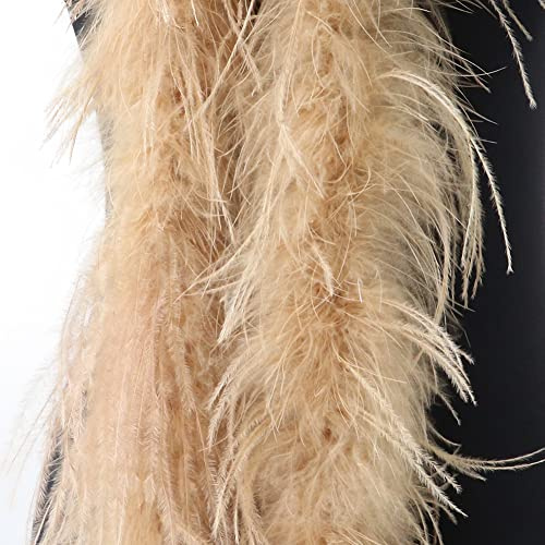 LICHENGTAI Boa di Piume di Lunghezza 2M, Decorazione per Artigianato, Sciarpa Naturale di Struzzo Fai da Te per Albero di Natale, Carnevale, Stola, Costume per Feste e Bambini