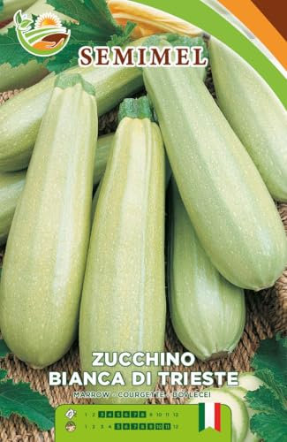Zucchino Bianco di Trieste - Semi di Zucchino Eretto, Ciclo Precoce, Frutti con Buccia Sottile e Lunghezza 15cm, Semina da Marzo a Luglio 1 confezione