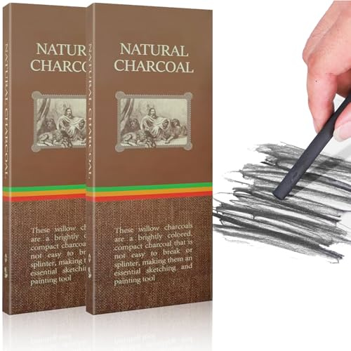 20 bastoncini di carboncino, 5-7 mm, carbone di salice nero, strumenti da disegno, matite a carboncino per artisti, studenti e hobbisti