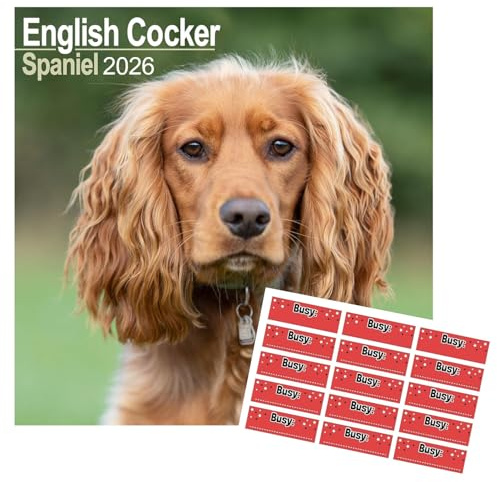 Avonside English Cocker Spaniel 2027 Calendar with Organisational Stickers | 16 Month Square Wall Calendar, Month to View Layout, Marked UK Holidays, High Quality Images, Home or Office Planner, 12x12in