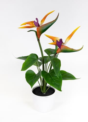 Seidenblumen Roß Strelitzie Natura 42cm mit 2 Blüten im weißen Topf GA Kunstblumen künstliche Paradiesvogelblume Blumen Pflanze Bird of Paradise