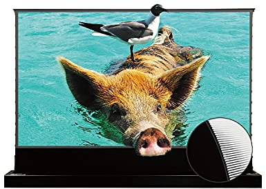 VIVIDSTORM S PRO Motorized Tension Floor Rising Projector Screen 100-inch | Home Cinema Setup |Black housing,VSDSTUST100H