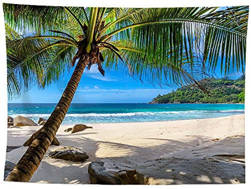 izielad Tapisserie De Noix De Coco Tenture Murale Plage Tropicale Mer Océan Tapisserie Murale Bohème Hippie Chambre Salon Dortoir Art 150X200CM 59X78.7IN