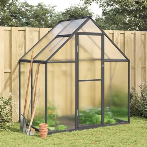 Festnight Gewächshaus mit Fundamentrahmen Gewächshaus Aluminium Gewächshaus Winterfest Garten glashaus UV-SchutzTreibhaus Aufzucht Pflanzenhaus Tomatenhaus-Anthrazit-169 x 114 x 195 cm