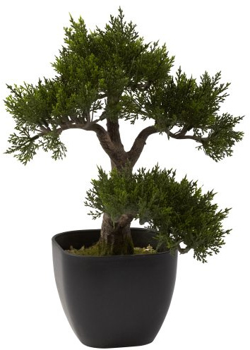 Nearly Natural 4966 Cedar Bonsai Artificial Tree, 15-Inch, Green
