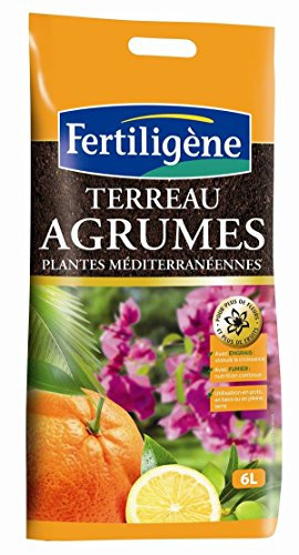 FERTILIGENE Terreau Agrumes et Plantes méditerranéennes 6l