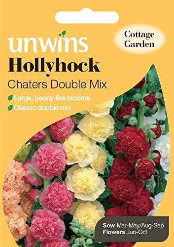 Unwins Pictorial Packet - Hollyhock Chaters Double Mix - 50 Seeds