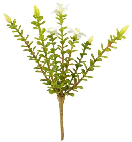 Props4shows Artificial Stonecrop Plant