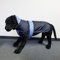 Wallace & Jones | Hundemantel Eisbär - Perfect Coat Blau-Blau Rückenlänge ca. 90cm