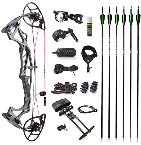 SHARROW Bogenschießen Jagd Compoundbogen 20-60lbs Einstellbarer Compound Bögen und Pfeil Set für Erwachsene 24 Zoll Radstand IBO 350FPS (Bogen Set)