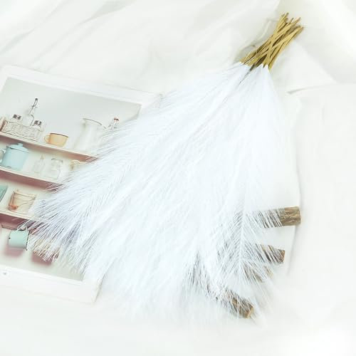 10 Pcs Artificial Pampas Grass Plant,Faux Dried Pampas Grass Stems Fake Flower Fluffy Reed Bouquet Reed Grass Decor,Dried Flower Arrangements for Wedding Holiday Party Boho Home Decor (White)