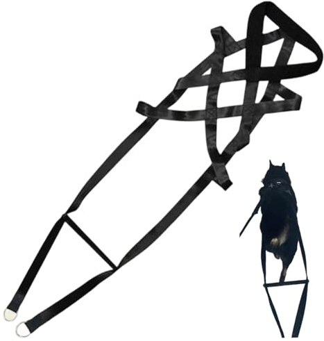 Jorzer hunddragsele, justerbar nylon hundsläde sele för beteensträning, viktdragning, kanikross, skidjoring husdjurstillbehör.
