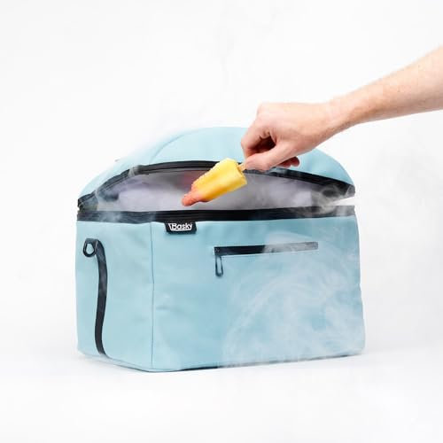 Basky Borsa termica Basky da 42 l, borsa frigo per cestini da bicicletta, colore menta, versatile contenitore termico isolato per cestini da bicicletta Basky e picnic, 40 x 33 x 32 cm, portabiciclette