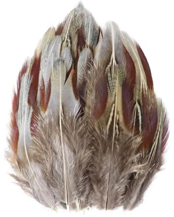 Paon faisan poulet plume en vrac 3-15 cm bricolage artisanat bijoux boucles d'oreilles mariage plume décoration(Champagne,20PCS)