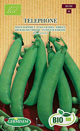 Germisem Bio Graines Pois à rames TELEPHONE