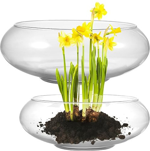Garneck 2 STK Transparentes Glasvase-Aquarium-seerosen-narzissenbecken Fischbecken Aus Glas Fischglas Aus Glas Blumentopf Aus Glas Aquarien Und Fischbecken -blumentopf Container Hydroponik