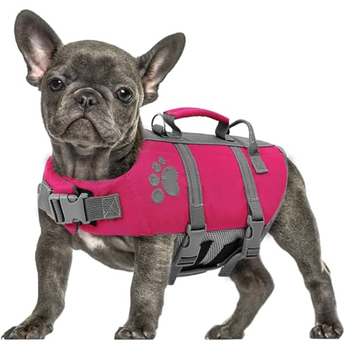 Queenmore Gilet de Sauvetage Chien Taille Grande, avec Poignée de Sauvetage, pour Chiens Grands, Teckel, Natation, Kayak, Paddleboarding (L, Fuchsia)
