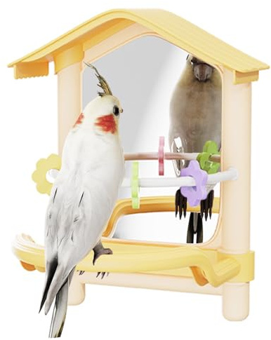 Jouets à mâcher et fournitures de cage pour calopsittes et poules – Accessoires d'aire de jeux pour oiseaux avec hamac, perchoir de fenêtre, balançoire et miroir, utilisation intérieure et extérieure