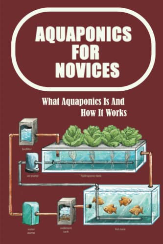 Aquaponics For Novices: What Aquaponics Is And How It Works