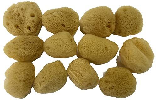 Soft Natural 12 Silk Sponges 1.5 Cosmetic Makeup Application Removal Face Eye Nail Cleaning Like Cotton Balls Awesome Aquatic Creating The Perfect Bath & Shower (12 Pack 1.5 Silk)