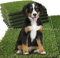 Qingbei Rina 1m x1m Artificial Grass Tiles Interlocking,9 Packs Fake Grass Turf Outdoor Rug for Dogs Potty Pet,Natural Realistic