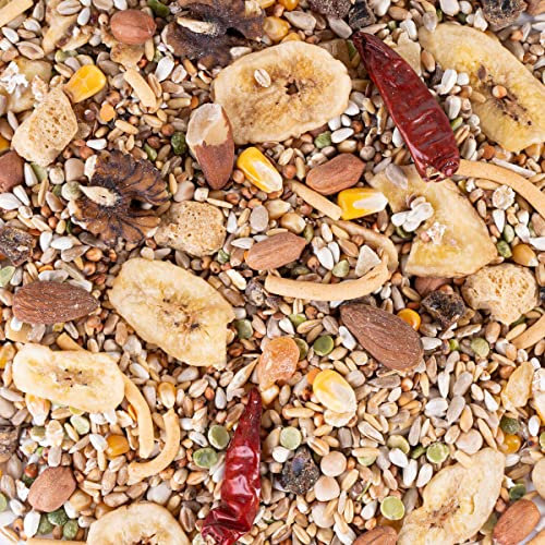 Parrot Essentials Tidymix Premium Quality Parrot Diet Seed Blend (2.30 kg), Parrot Food