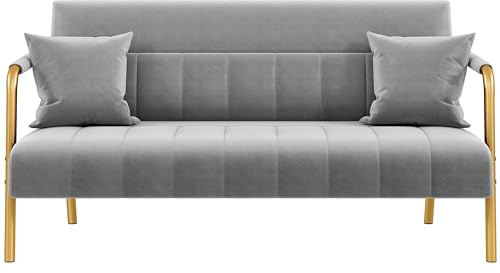 Yaheetech 56.5 W Modern Sofa Small Sofa Luxurious Velvet Fabric Couch with Gold-Tone Metal Arms and Legs for Living Room, Home Office, Studio Light Gray