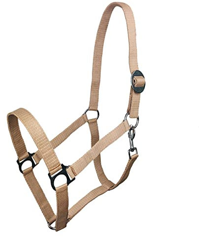 York Nylonhalfter Halfter Genickstück Verstellbar durch Schiebeschnalle Harmony Pferdehalfter (Cob, beige)
