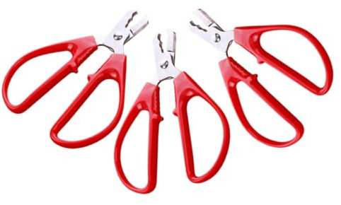 Ciieeo 3 Pz Artefatto di sbucciatura del seme Sguscianoci in acciaio inossidabile pinza per sbucciare meloni Pinza per dadi in acciaio inox sheller Castagna schiaccianoci macinino noce pp