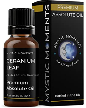 Mystic Moments | Geranium Leaf Absolute Oil 5ml | Pelargonium graveolens | Sweet Herbaceous Aroma | Solvent Extracted | Middle Note | Pure & Natural | Aromatic Use in Perfumery & Blends