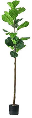 PIPONS Künstliche Pflanzen Nordischer Künstlicher Baumzweig Künstliche Ficus Lyrata-Pflanze Gefälschter Banyan-Baum Für Hausgarten-Bonsai-Dekoration Fake Pflanzen Dekor (Color : B 160cm)