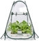 Mini Carpa de Invernadero Small Up Cent House de Plantas de protección Invernal de Invierno Refugio para al Aire Libre Mini Invernadero