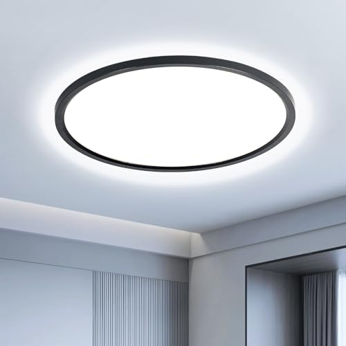 EASY EAGLE Rund LED-taklampa 40 cm, 6 500 K, svart