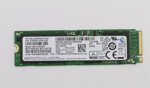 Lenovo Mémoire SSD 256 Go M.2 PCIe3x4