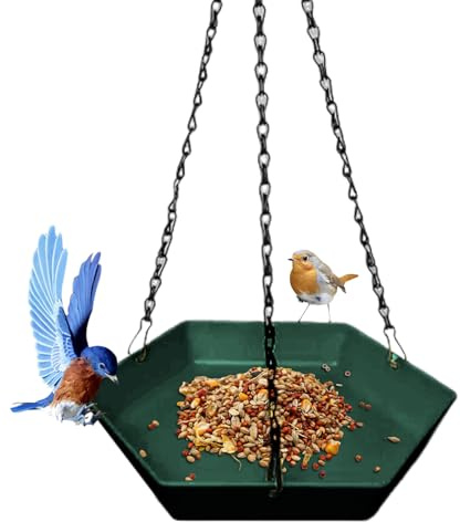 laxreheye Baño de aves al aire libre | Distribuidor de Moderno para Exterior | Estanque Suspendable Decoración Jardín para Ventana Balcón Terraza Patio Porche Observación Aves