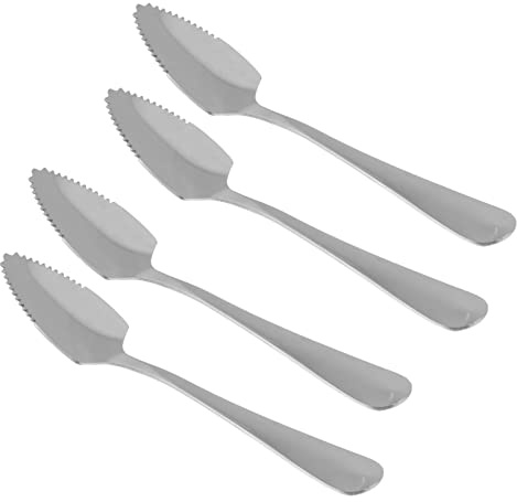 Housoutil 4pcs Serrated Stainless Steel Fruit Spoons for Ice Cream Desserts Handle Mirror Polished for Serving Fresh Fruits and Food