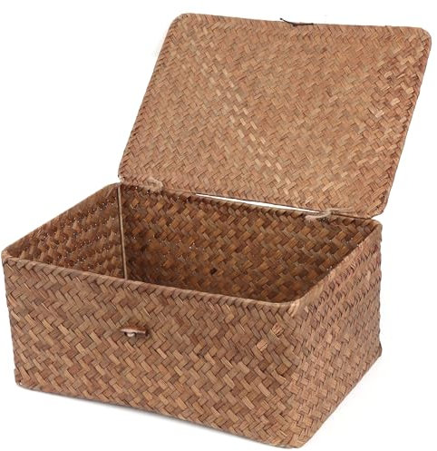 FEILANDUO Cestini in vimini con coperchio, cestini portaoggetti rettangolari intrecciati a mano, per scaffali, scrivania, organizer per la casa (caffè, grande)