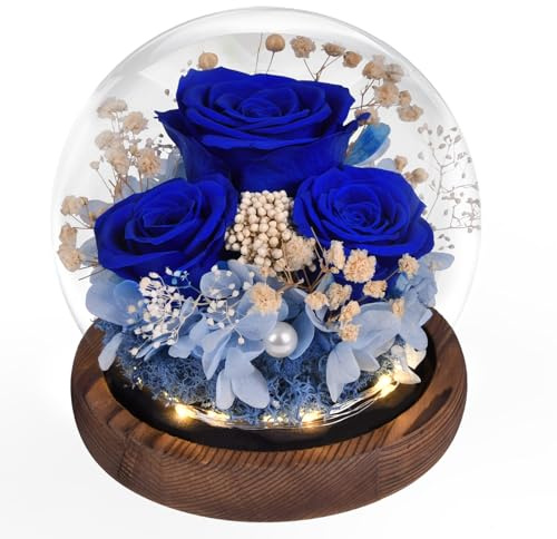 Beinhome Rosas Reales Preservadas Hechas a Mano con luz, Regalos para Mujeres Mamá Abuela Esposa Hermana Novia, para cumpleaños día de San Valentín Navidad Día de la Madre