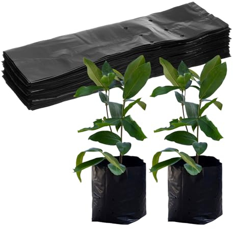 M METERXITY 100-Pack Sacchetti Per Vivaio, 20 x 40 cm Sacchetti Di Plastica Spessi Per Vivaio, Sacchetti Per Piantare Semi Per Patate/Fiori/Pomodori/Piantine/Forniture [Nero]