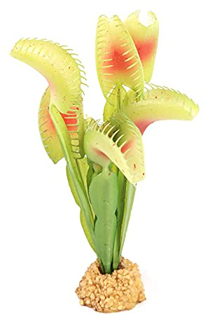 TERRATLANTIS TD Carnivoro Pianta